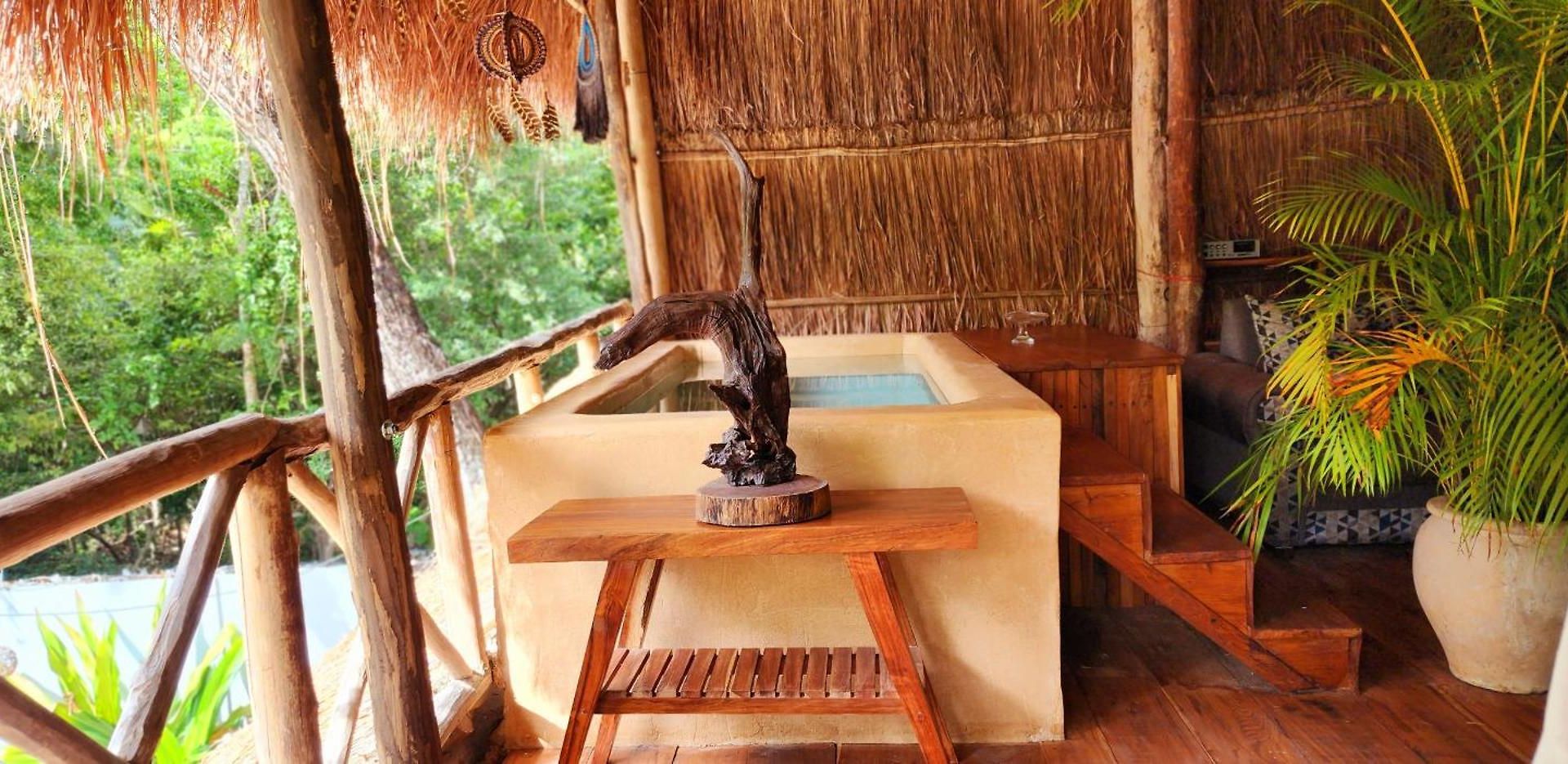 Kin Jungle Deluxe Pensión