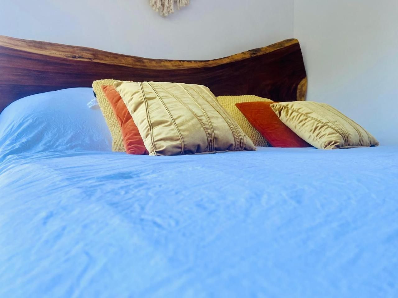 Exclusive Building Infinity Pool And Gym Restaurants And Bar District Nearby Tulum