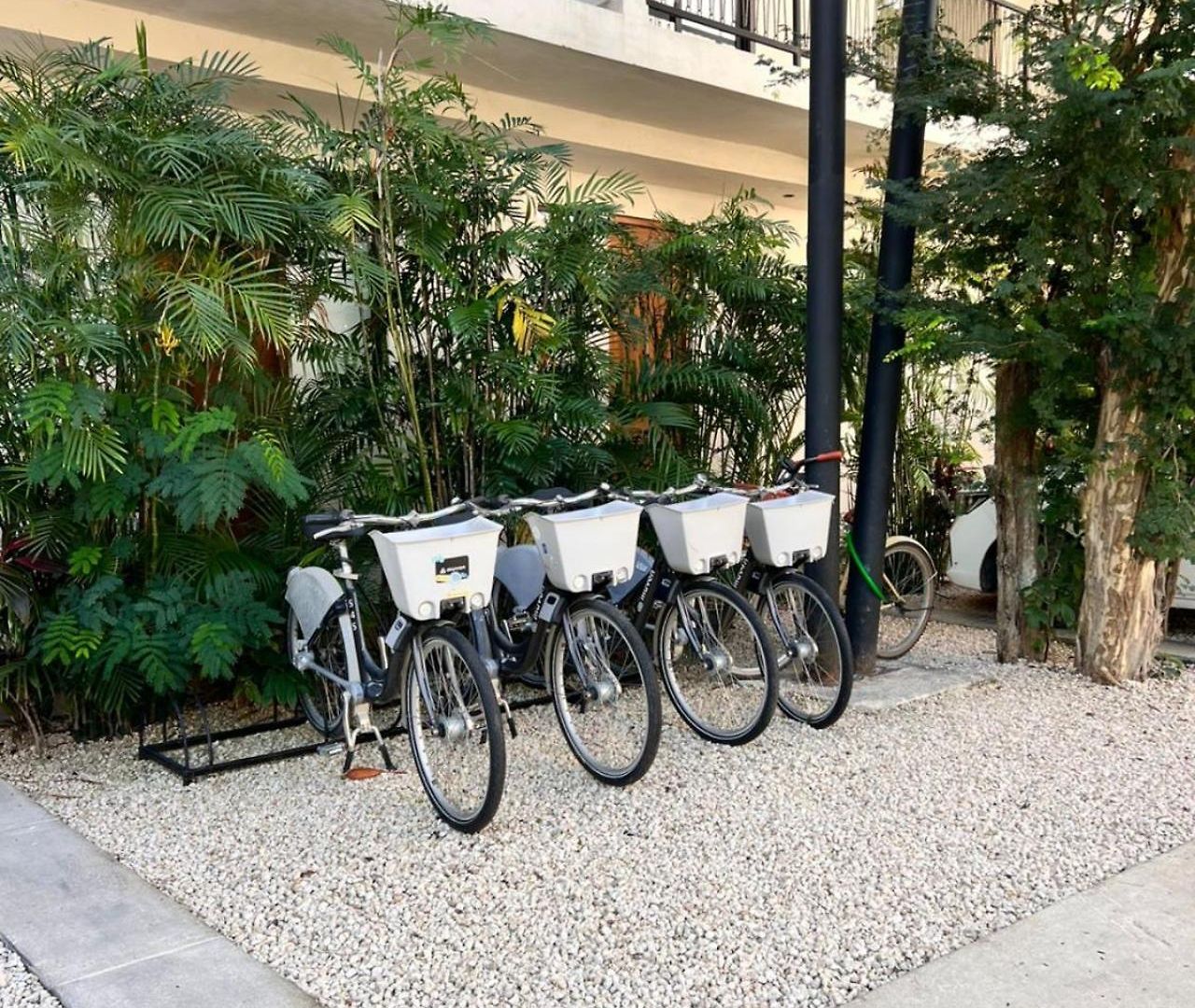 2 Bedroom With Direct Walk-out To Pool, Sauna, And Gym *