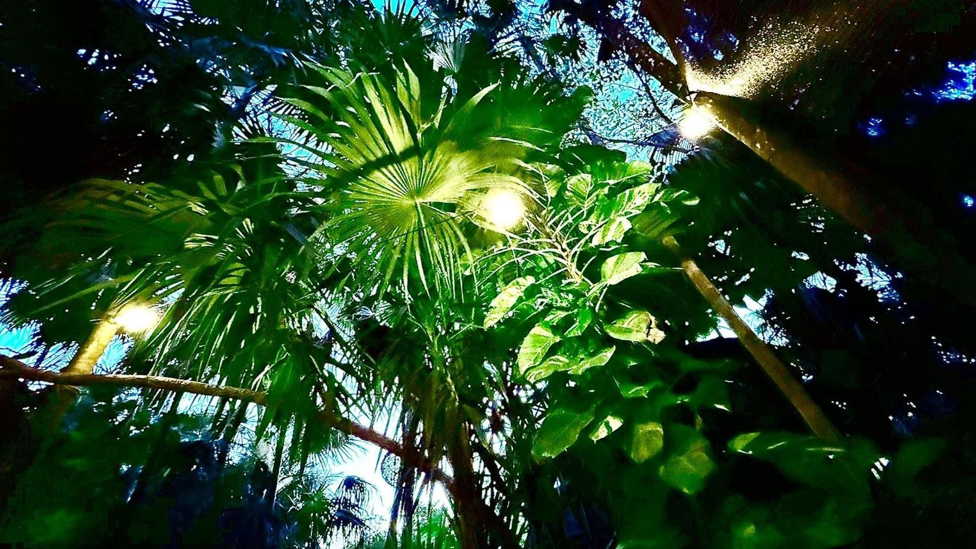 Bed and breakfast Kck Tulum
