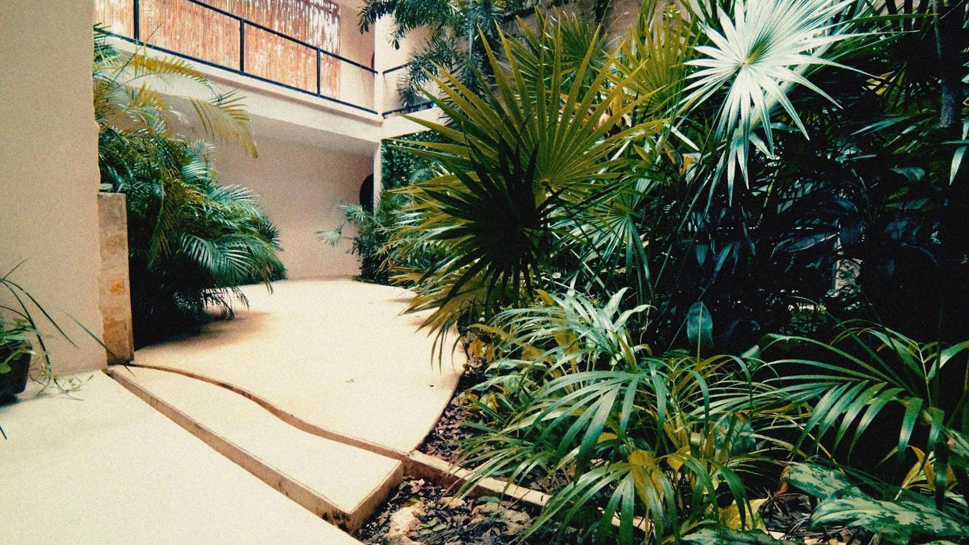 Wamai * Tulum