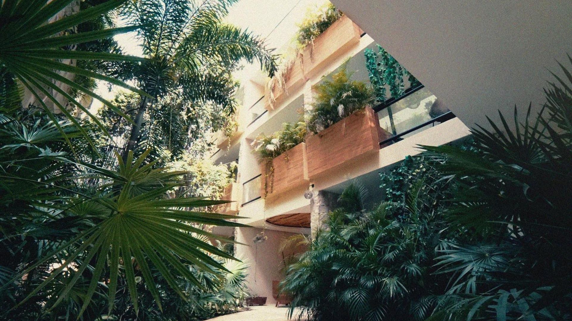 Wamai Tulum