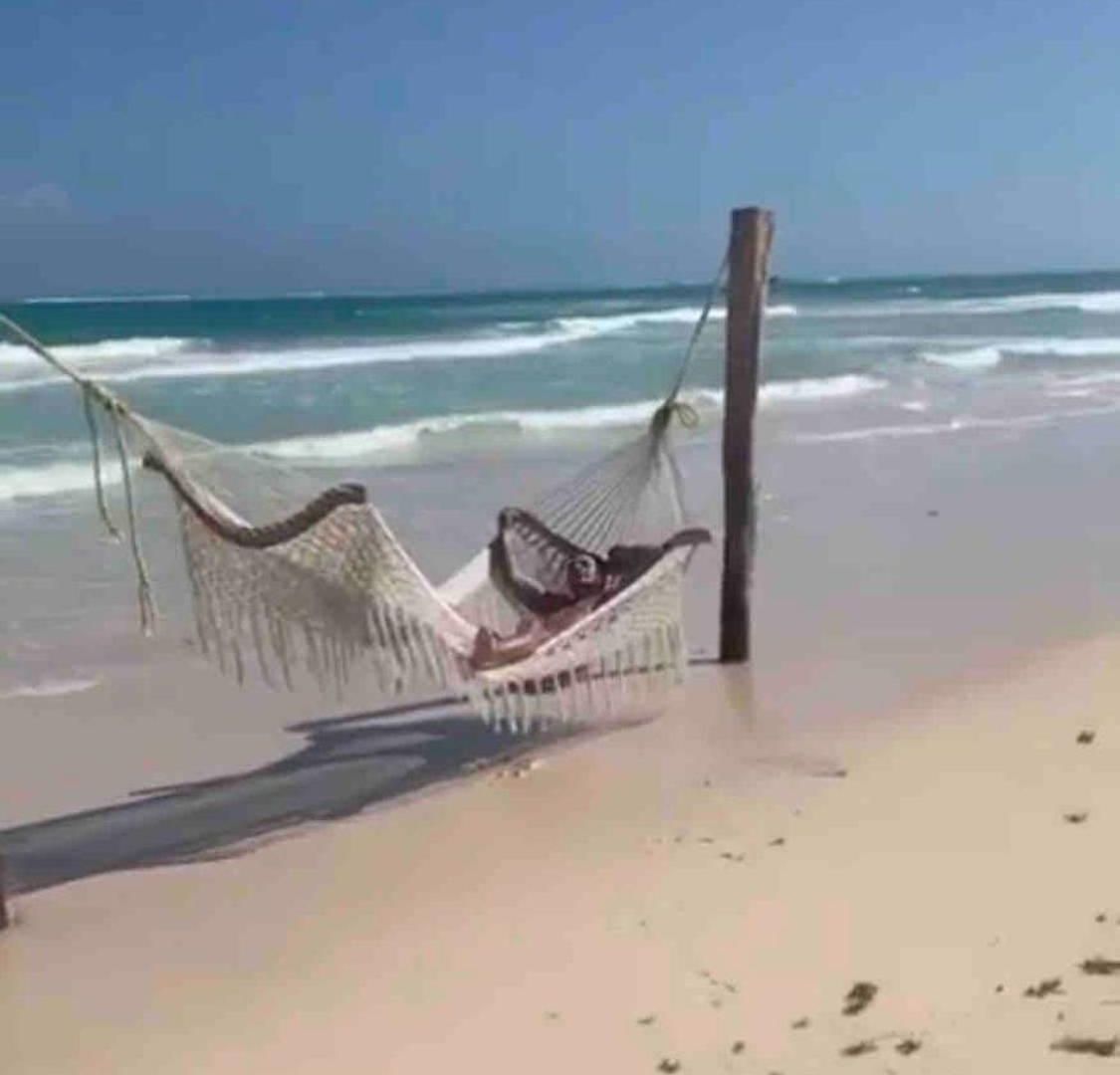 Villa G , With Palapa In *
