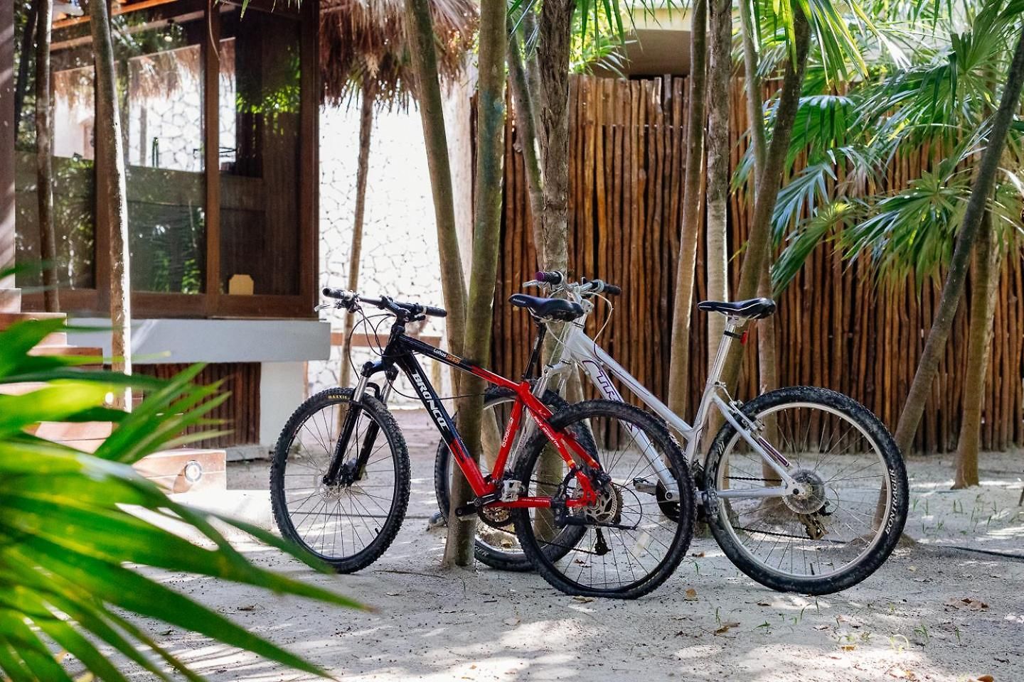 Casa Xik'nal - Luxury Front Villa Punta Allen