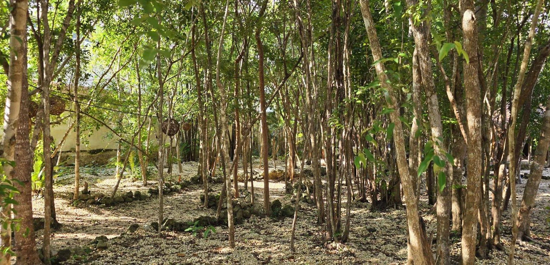Kin Ii Tulum