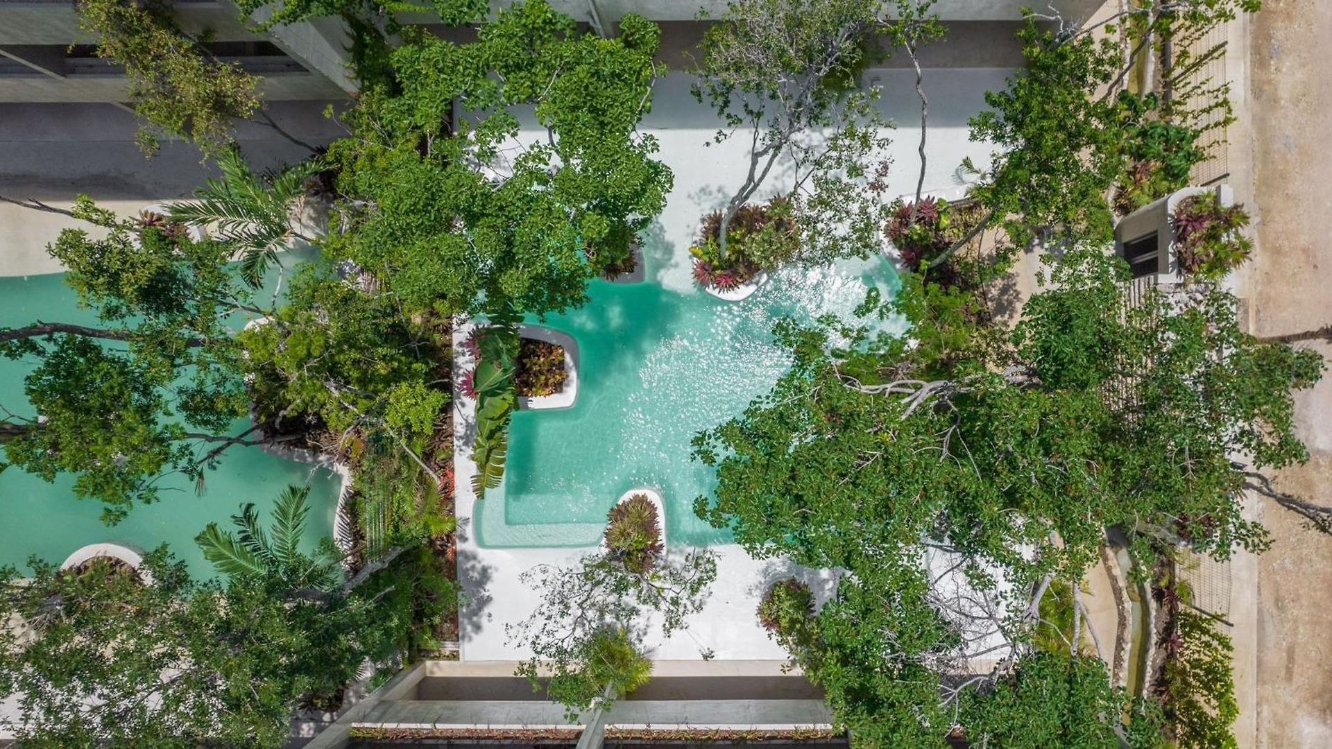 Jungle Gem With Swim-up Pool & Easy Paved Access Tulum