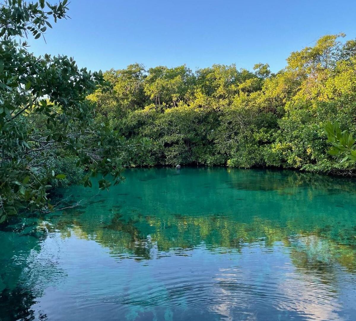 Tankah Bay Jungle With Sea Access 2 Bdr * Tulum