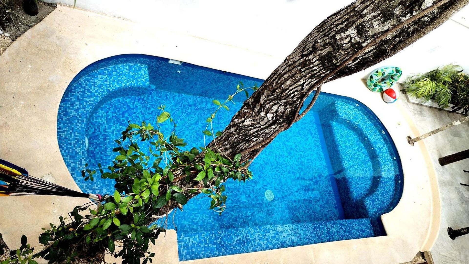 Tucanes 5 Bdr 10 Ppl Villa *