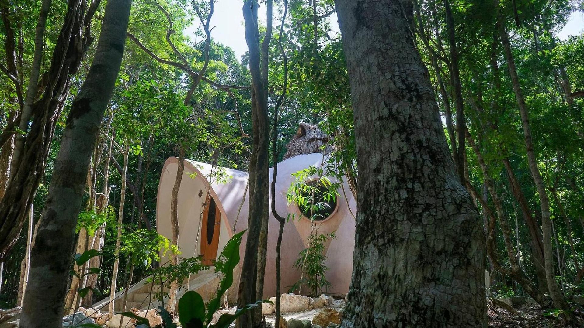 Unique Jungle Dome 2 Queen Beds Lodge Tulum