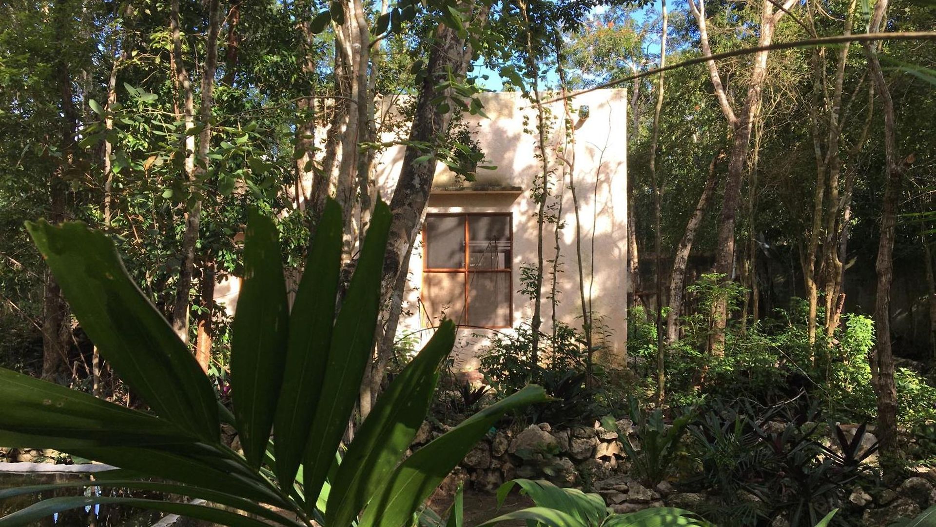 Guest house Barefoot Jungle
