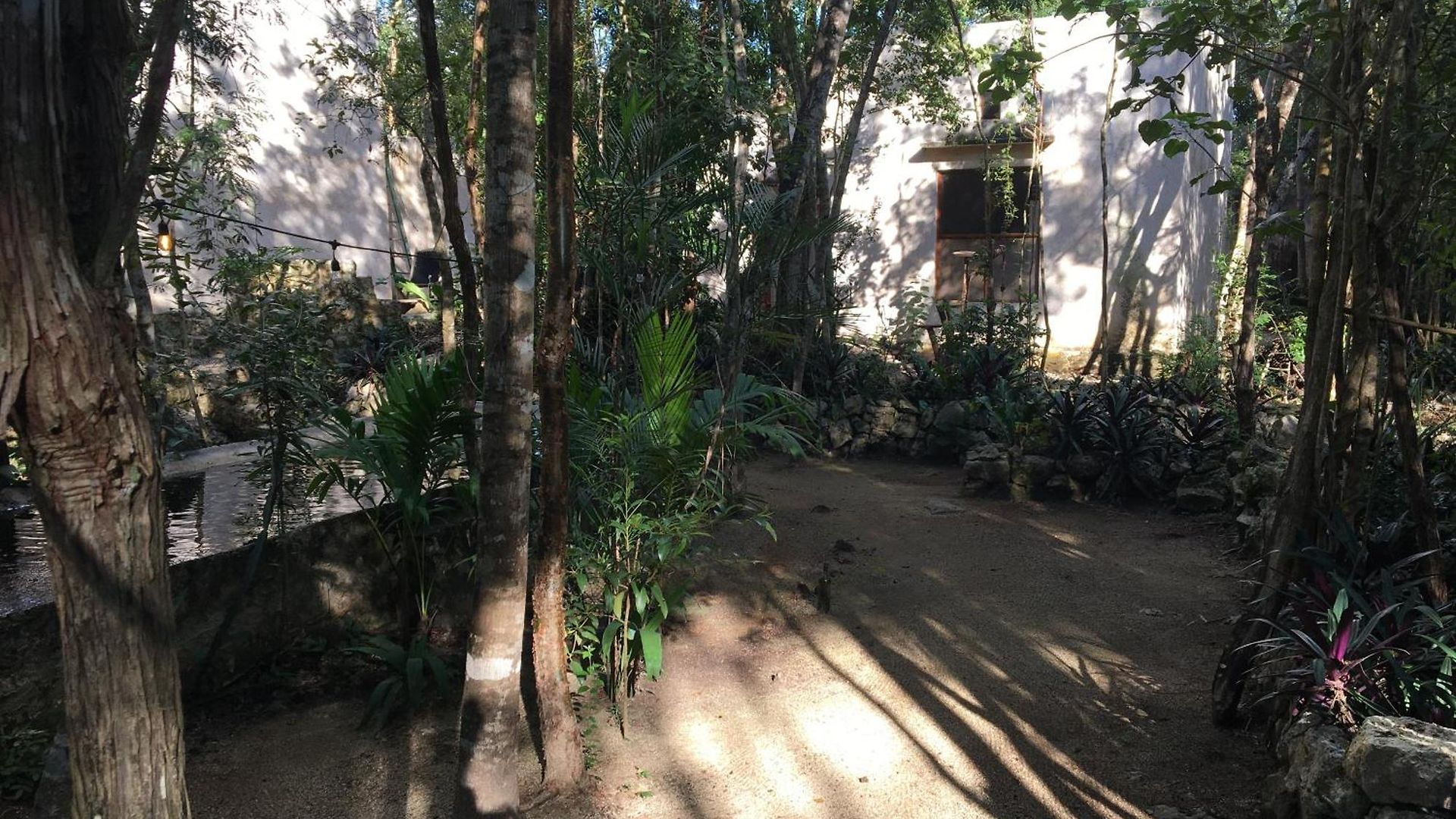 Barefoot Jungle 4*