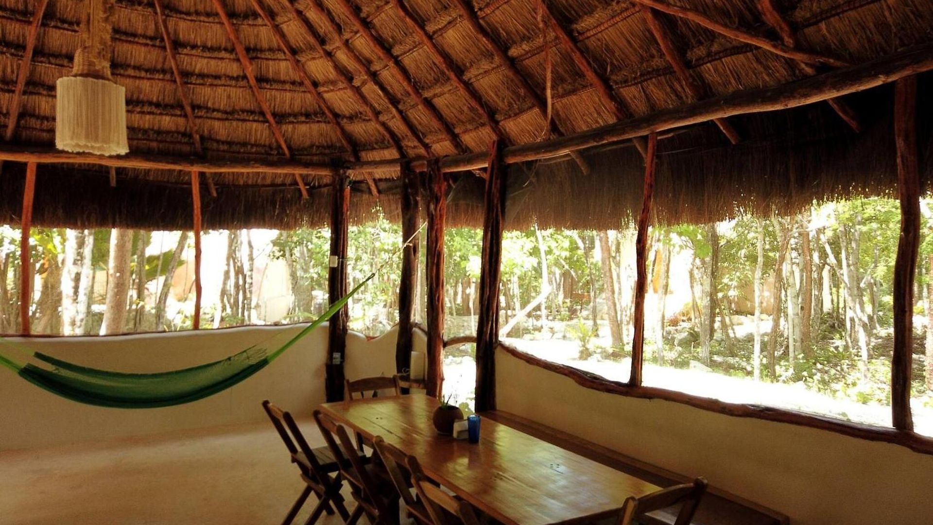Unique Jungle Dome Ik