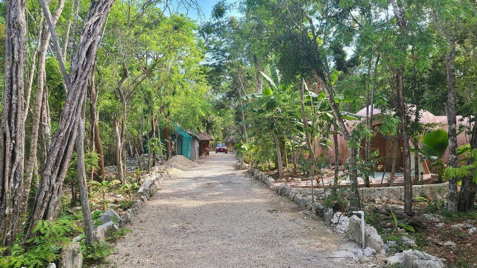 Lodge Unique Jungle Dome Ik