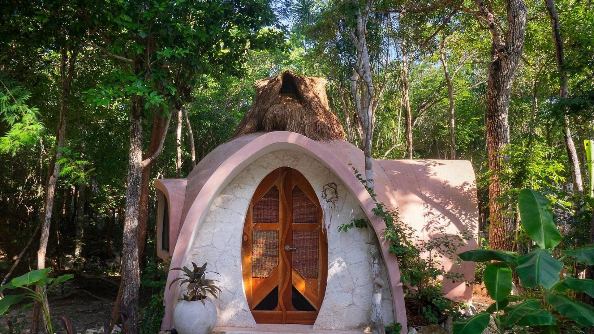 Unique Jungle Dome Ik