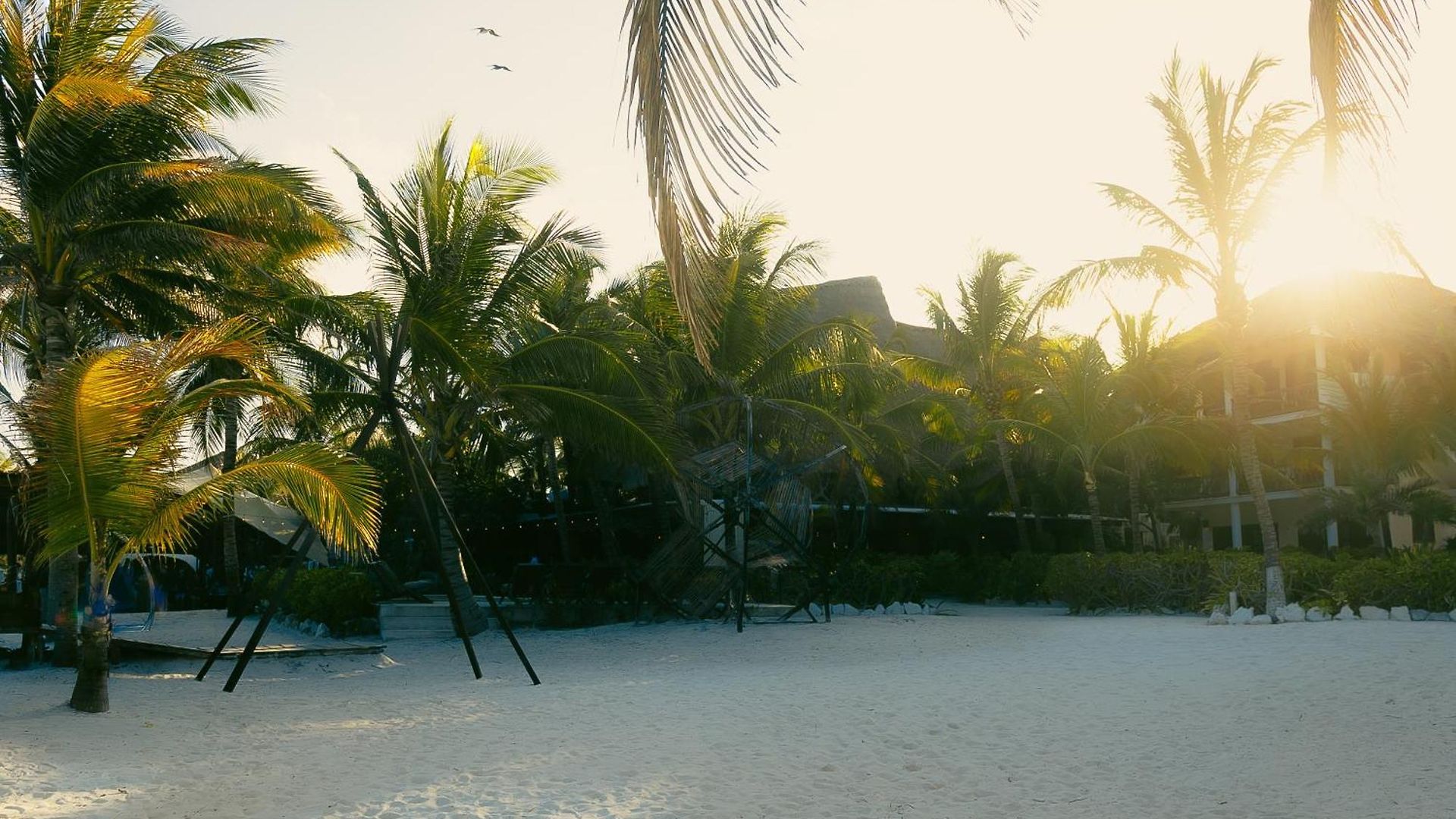 Mia 3* Tulum