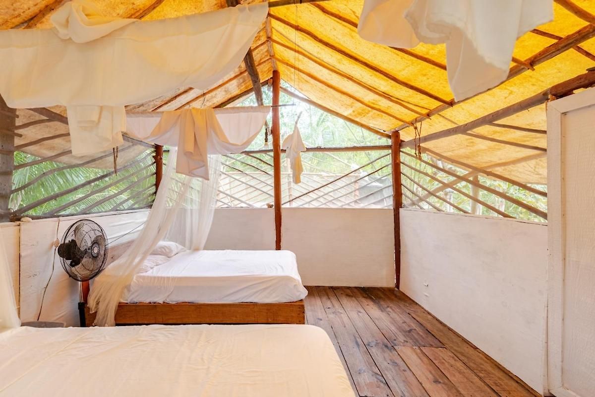Zapote En Rancho Jaguares Jungle Retreat Camping Tulum