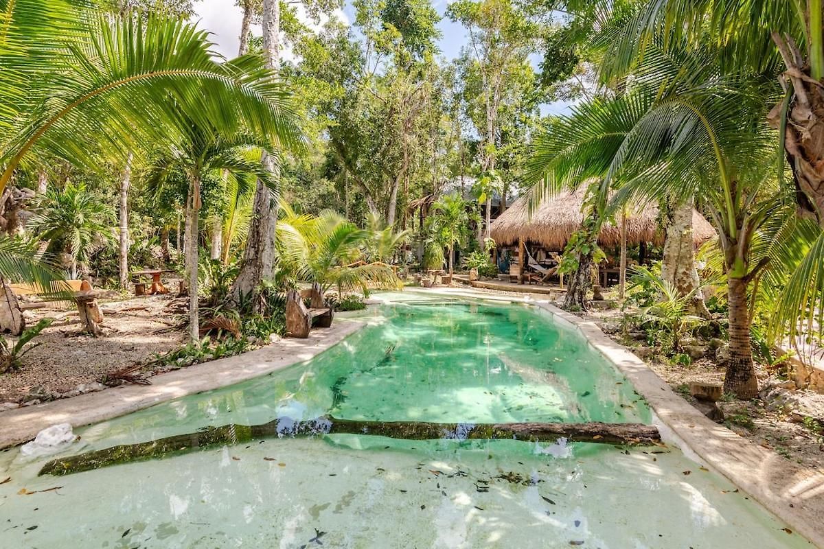 Zapote En Rancho Jaguares Jungle Retreat *