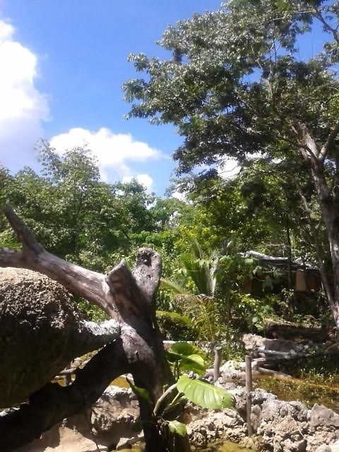 Zapote En Rancho Jaguares Jungle Retreat Camping Tulum