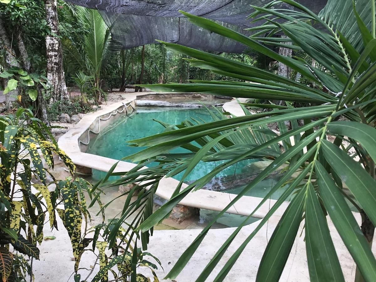 Camping Zapote En Rancho Jaguares Jungle Retreat Tulum