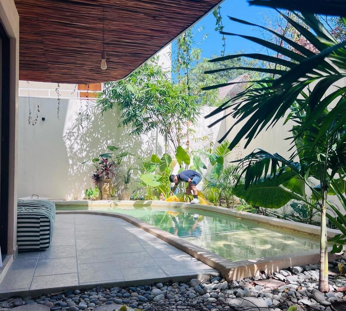 Charming Boutique Jungle Views Private Pool Apartment