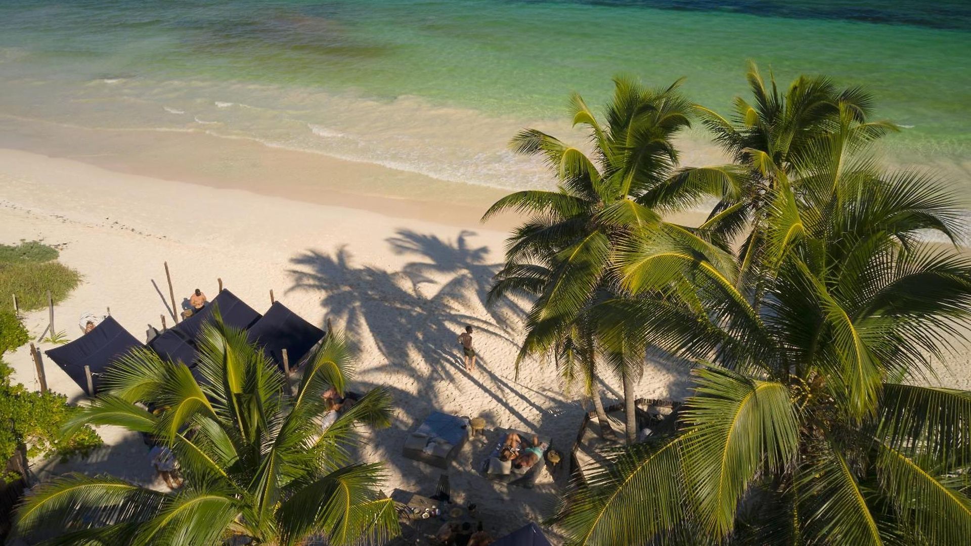 Libelula Beachfront