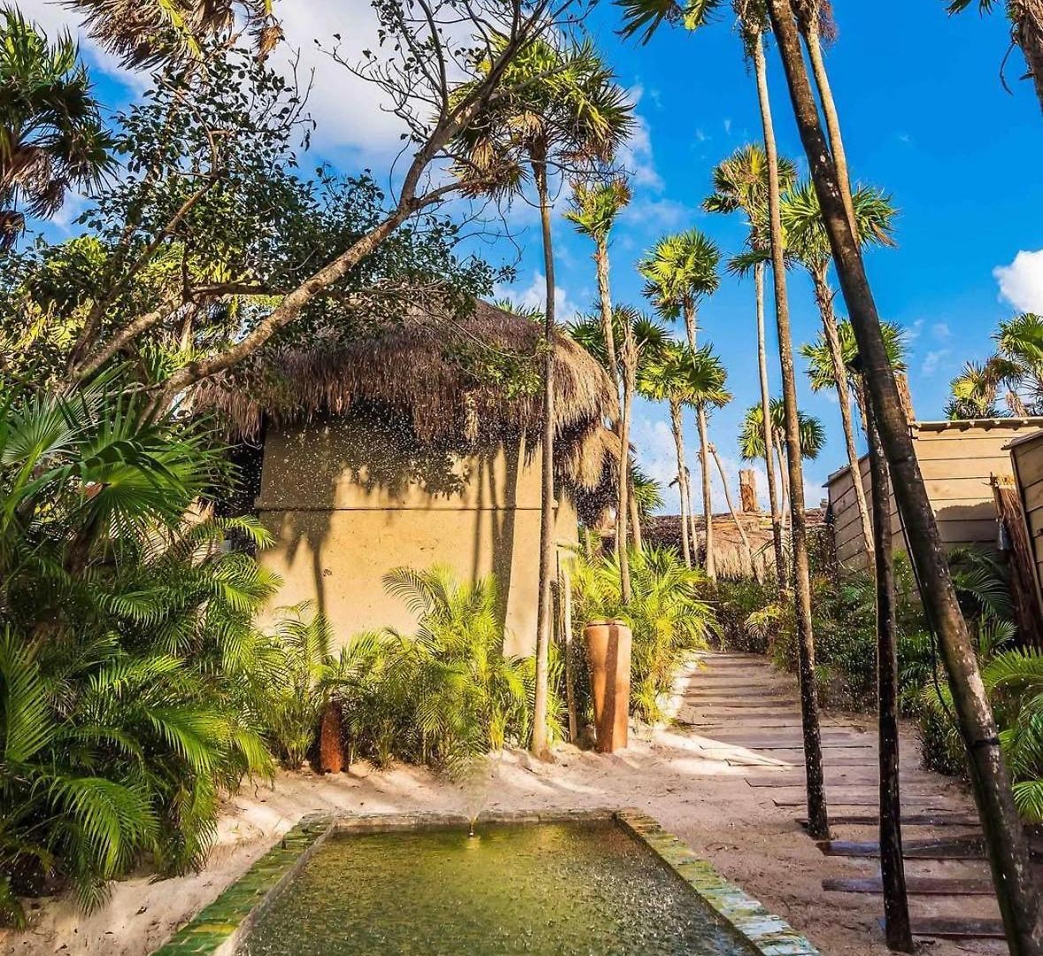 Amana , Front Tulum
