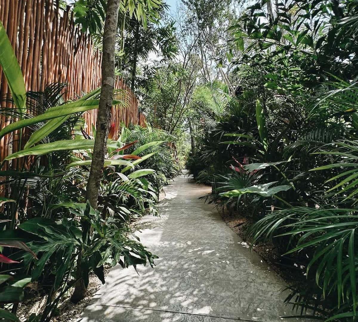 Villa Bambu Con Alberca Privada En *