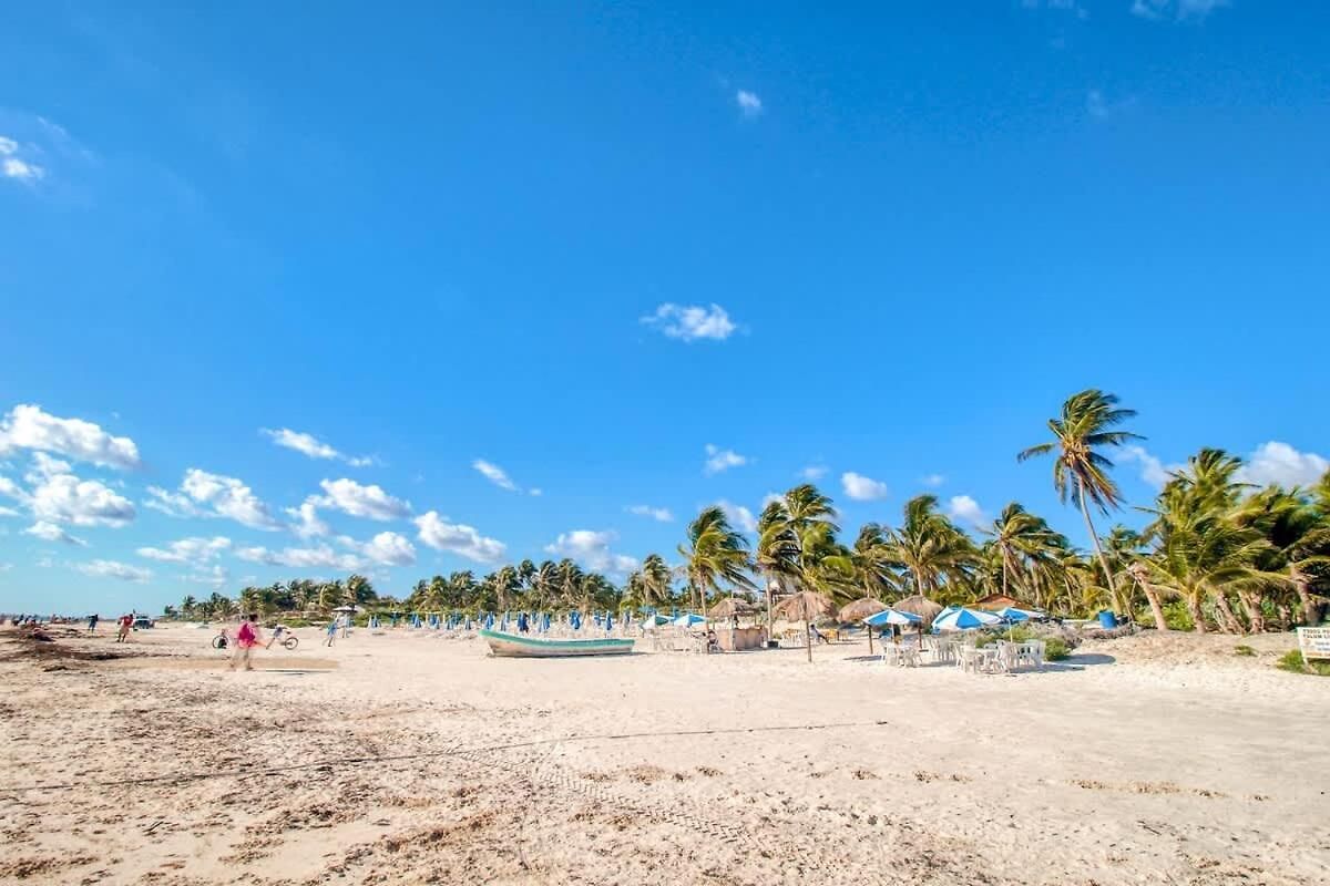 Apartment Location And 3 Pools *