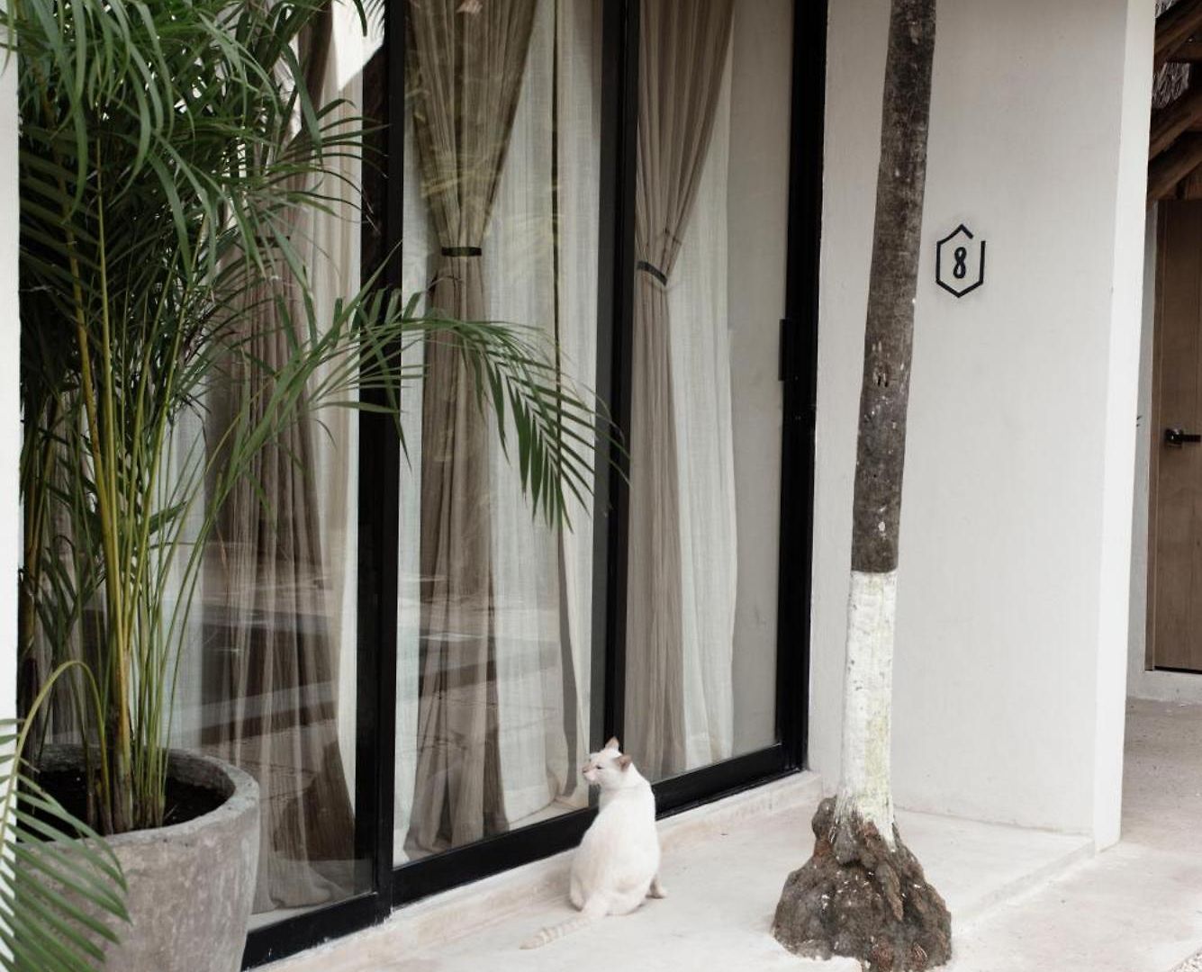 Tuup 3* Tulum