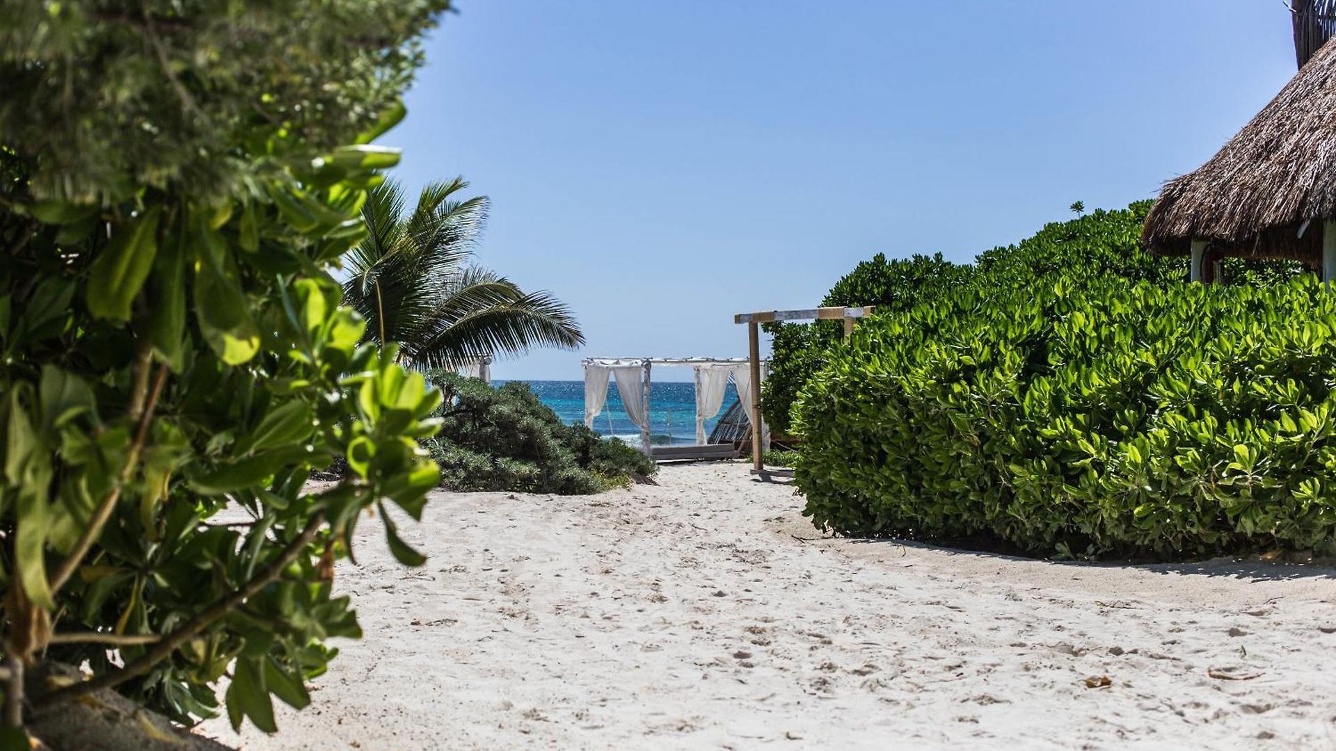 Beachfront Campo de lujo Tulum