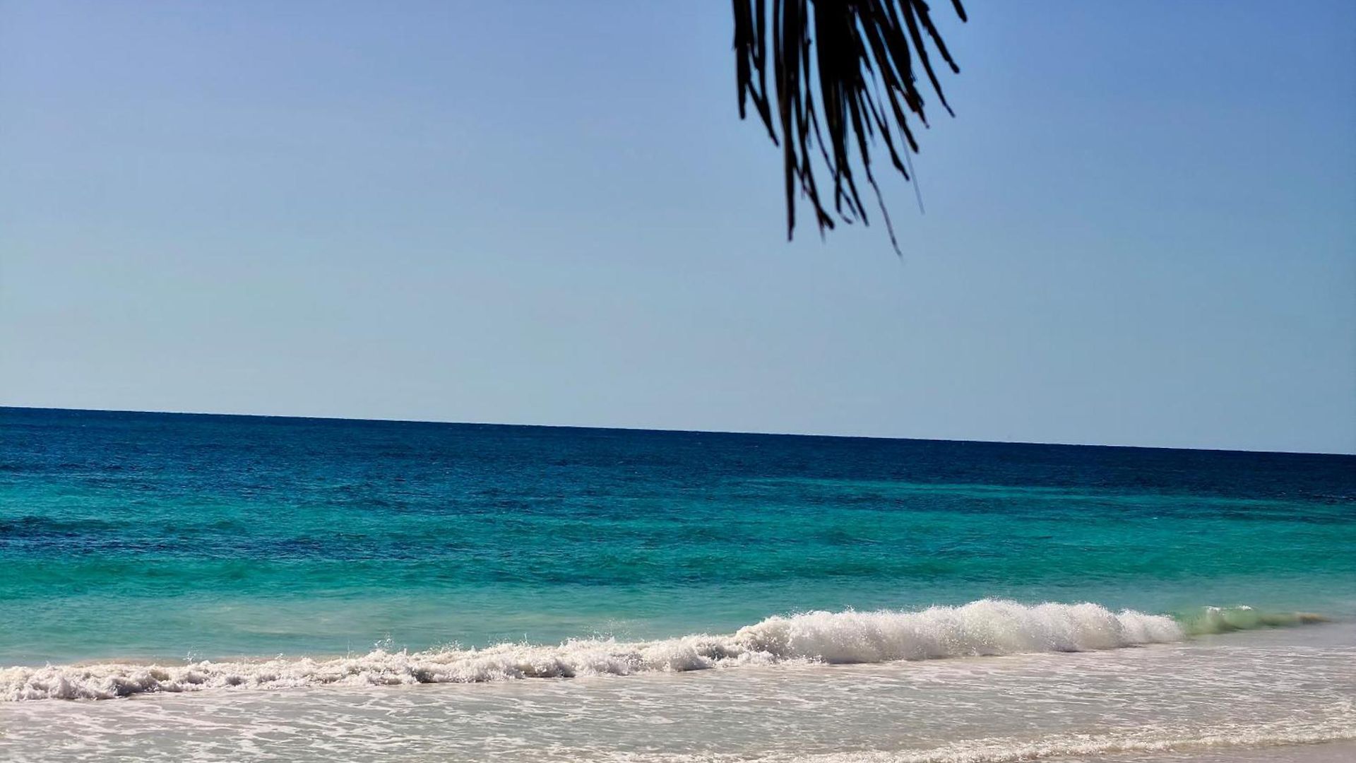 Azucar Tulum