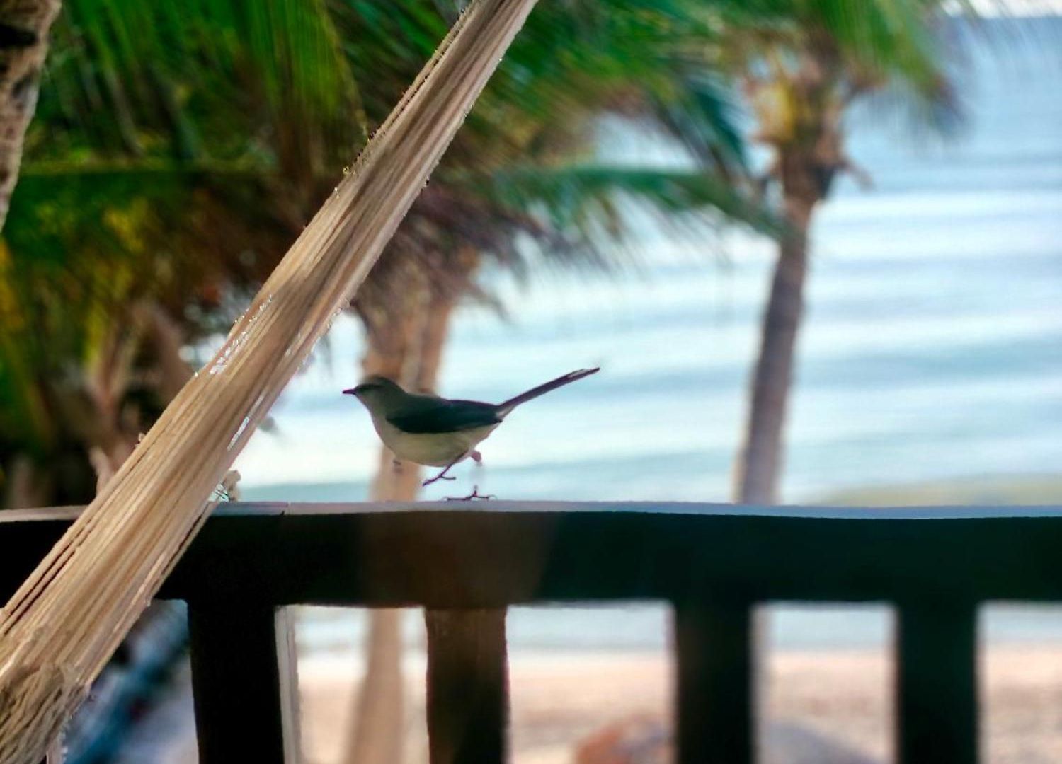 Hotel Azucar Tulum