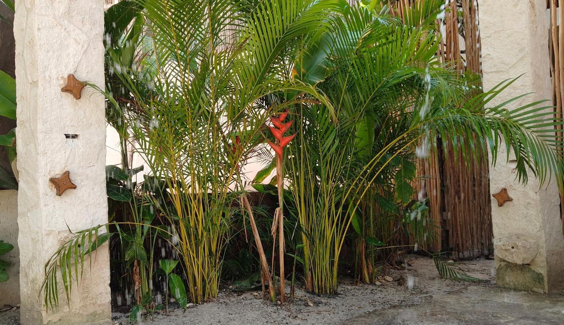 Hotel Azucar