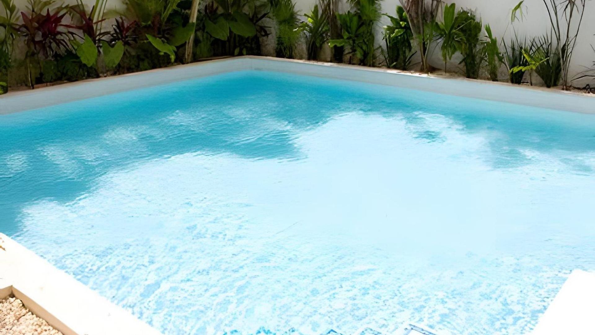 Departamento Con Alberca Privada En