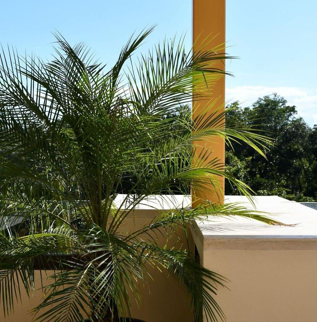 3-bedroom With Private Pool, Terrace And Bbq * Tulum