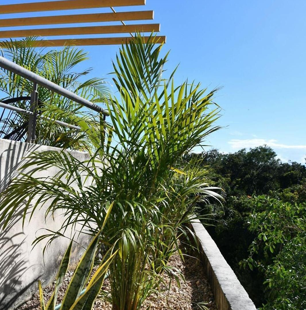 3-br With Private Pool, Terrace And Bbq Tulum