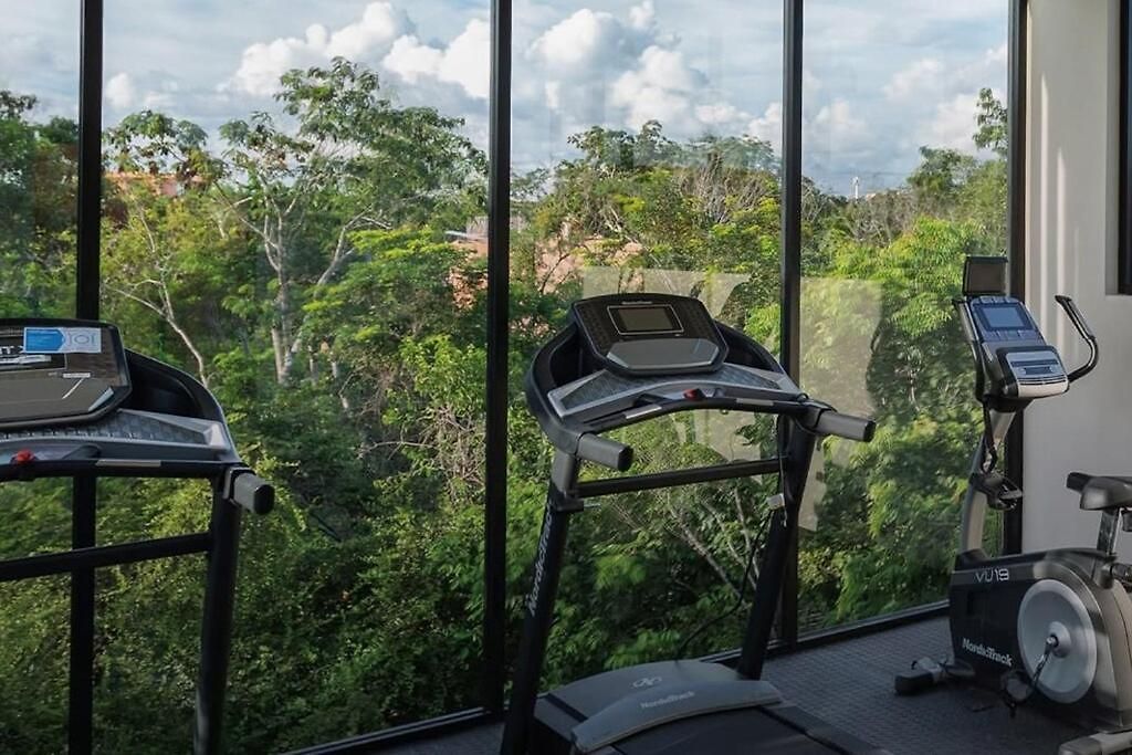Luxury In Tulum, With Security Apartment
