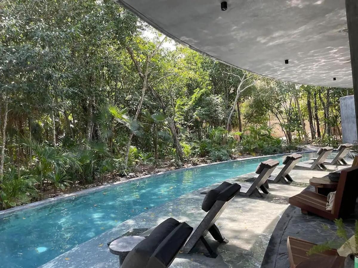 Tribu 204 Jungle Experience Ambience Apartamento Tulum