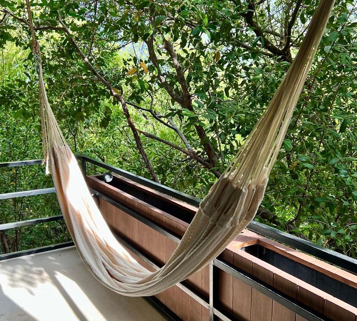 In Tankah Bay Where Jungle Meets