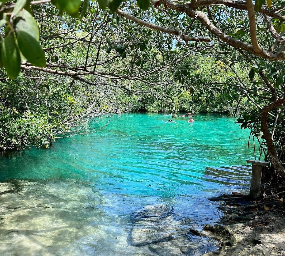 In Tankah Bay Where Jungle Meets * Tulum