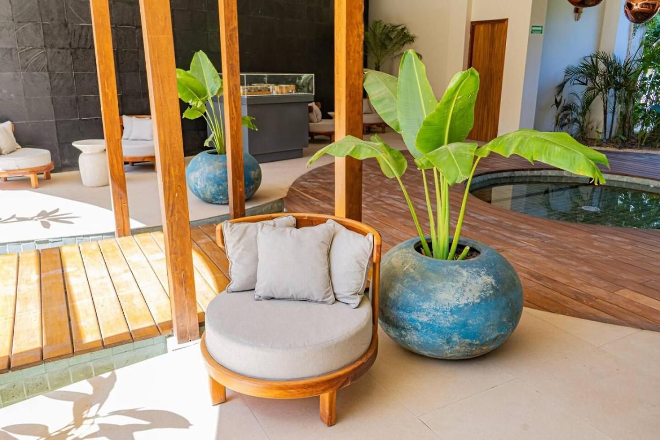 H31 Incredible With Balcony And Relax In Cenote *