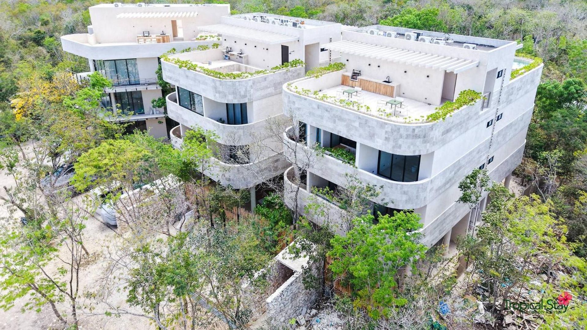 Apartment Kaabin Jungle Living C5 *