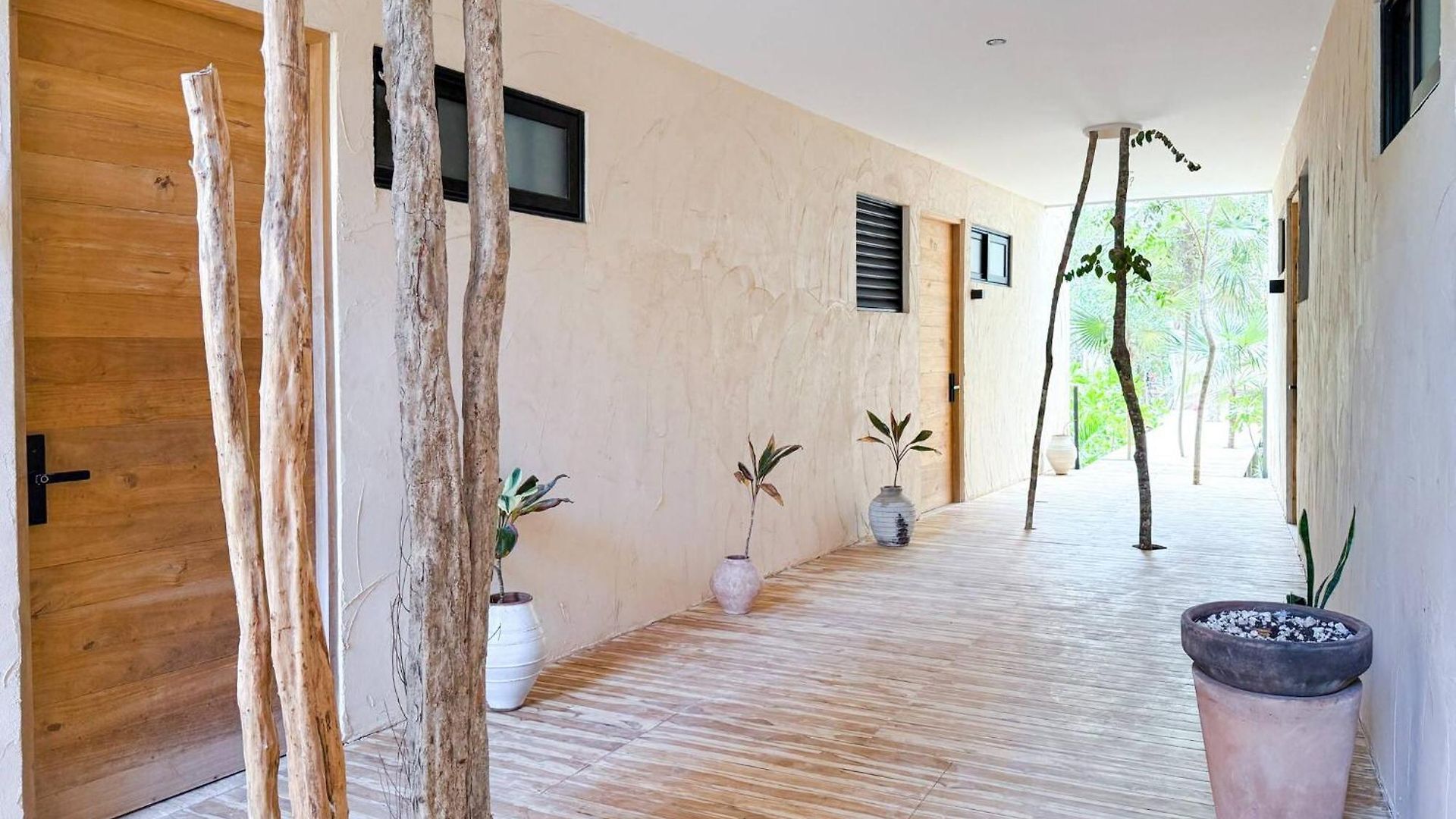 Kaabin Jungle Living C5