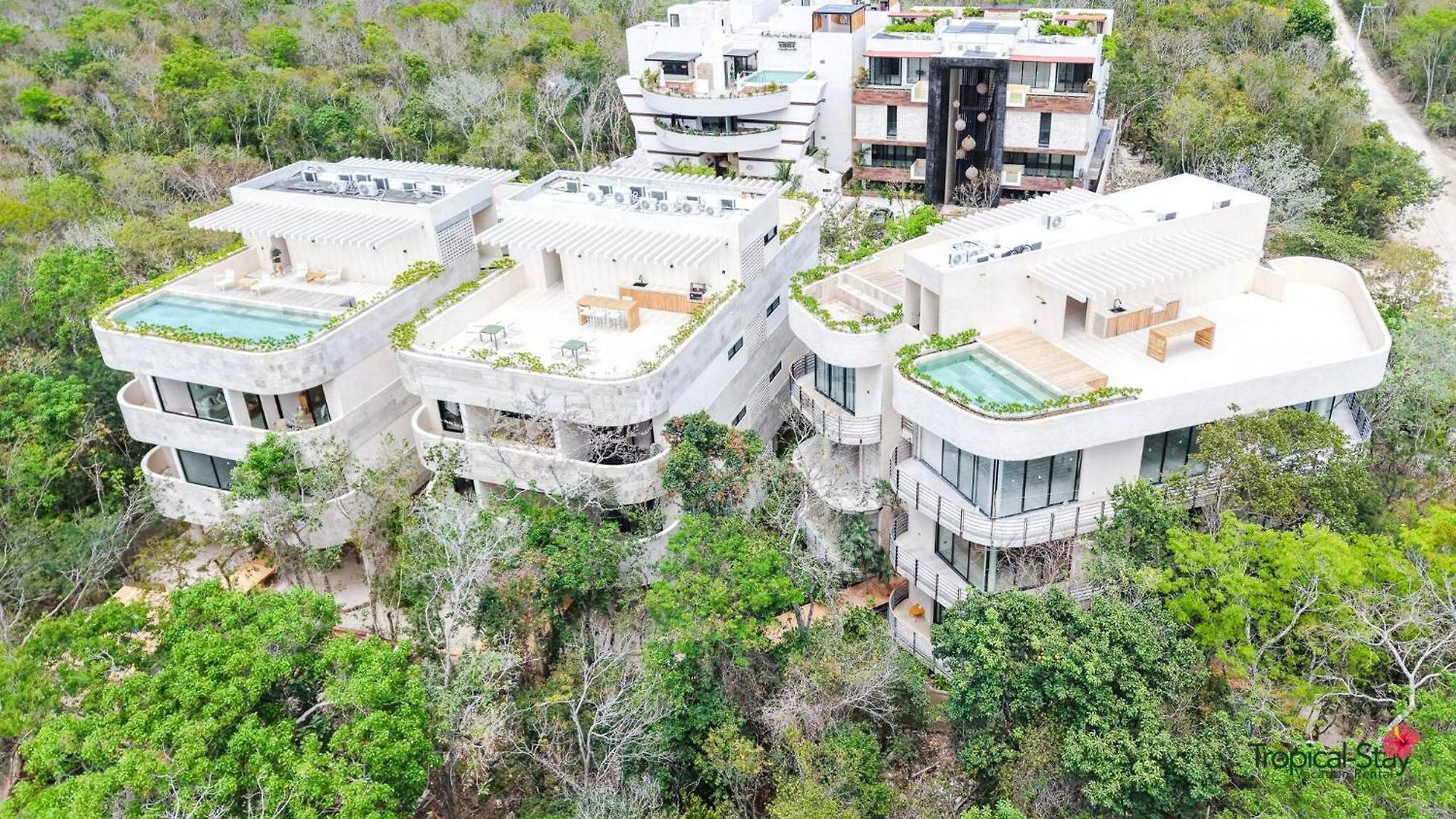 Kaabin Jungle Living C5 *