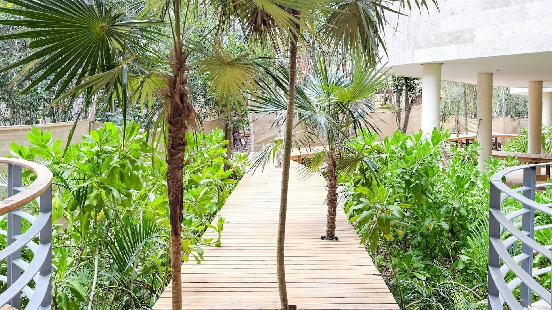 Kaabin Jungle Living C5 Apartment
