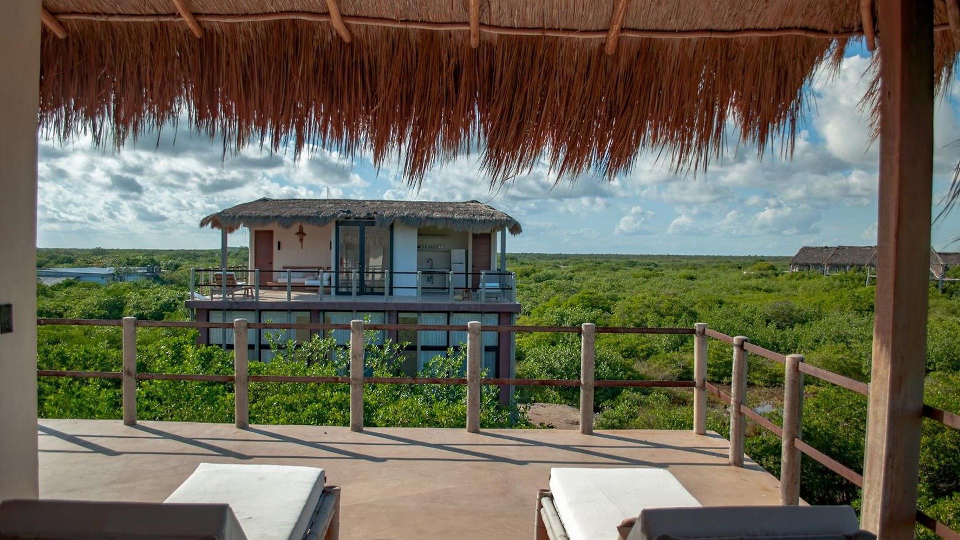 Caiman Habitat Hotel