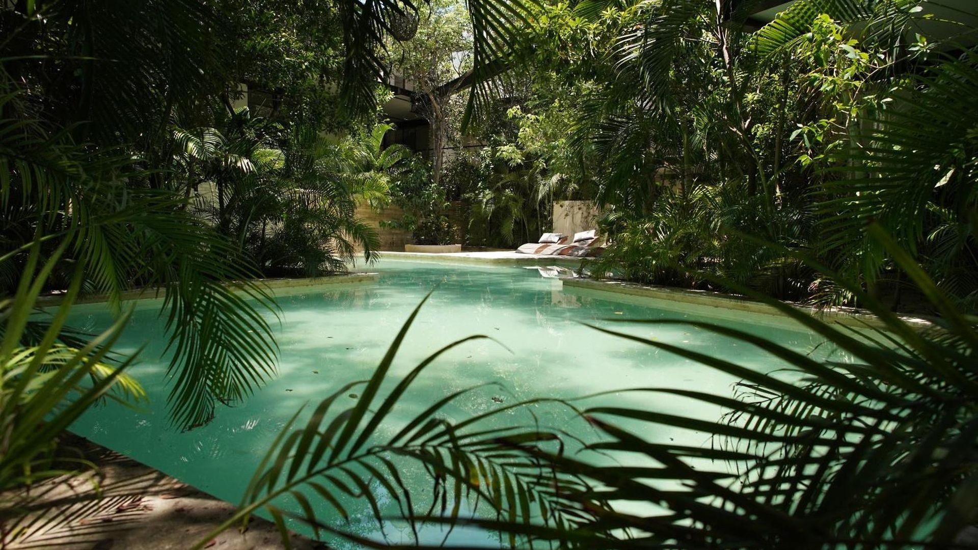Thoth Departamento En La Veleta * Tulum