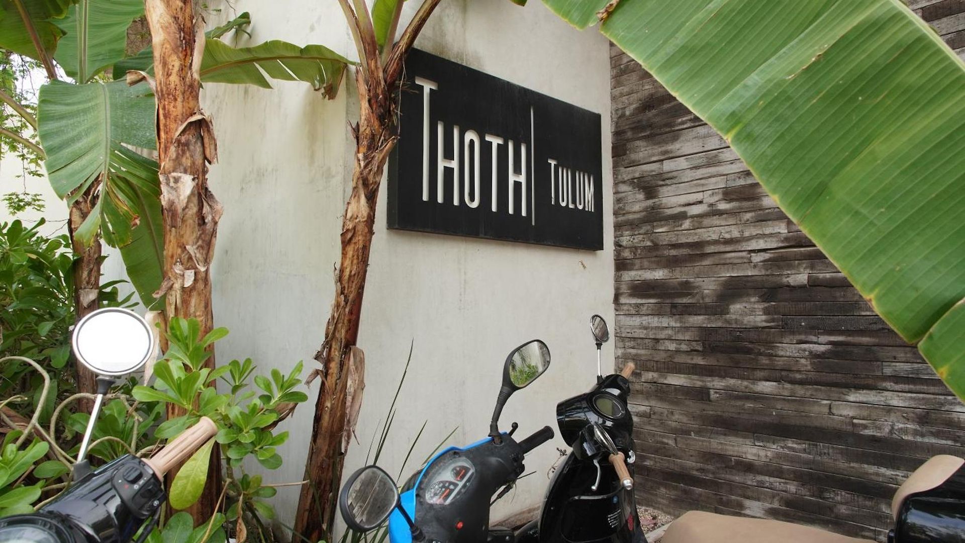 Сasa de vacaciones Thoth Departamento En La Veleta