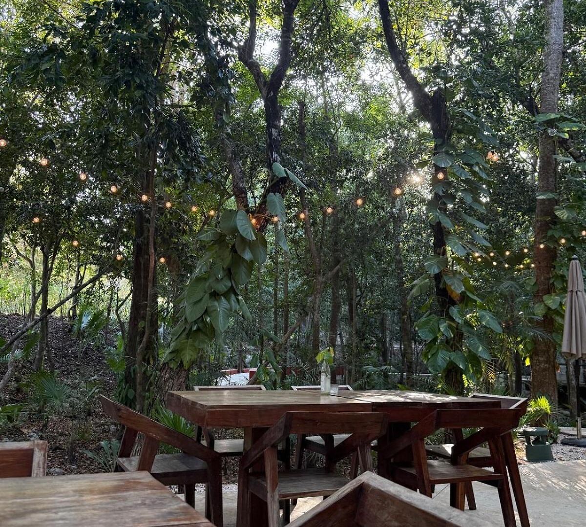 Selva - Hivenb * Tulum