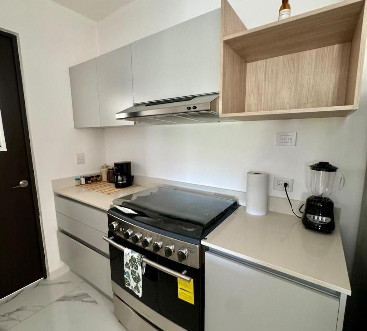 Apartment Brisa